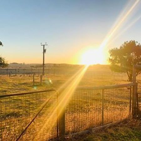 Pleasant Hill Bnb Mount Gambier Exterior foto